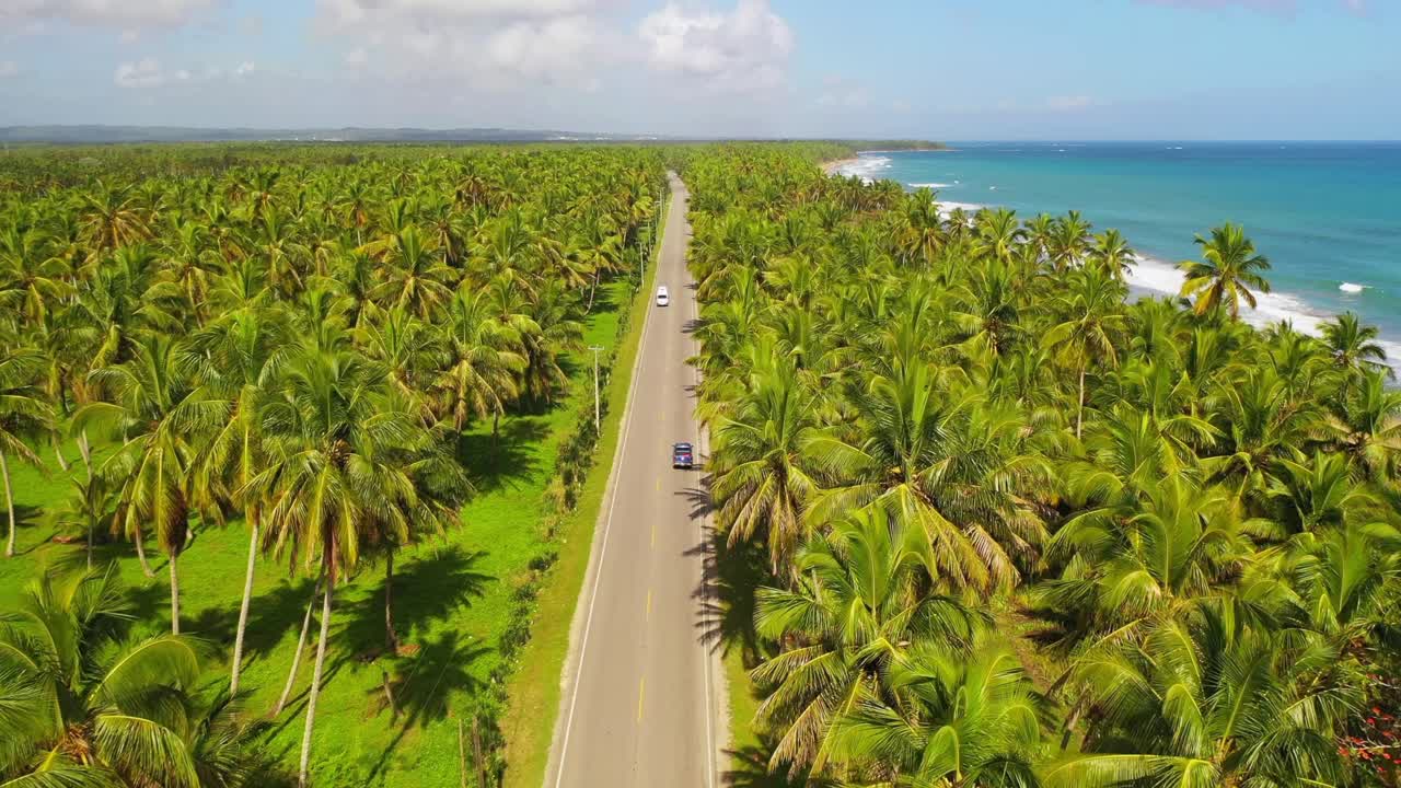 uma foto majestosa na entrada de nagua, na província de maria trinidad sanchez, com uma vista das árvores de coco, uma bela praia ao lado, carros passando na rua, uma bela viagem.