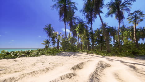 tropical beach paradise with palm trees