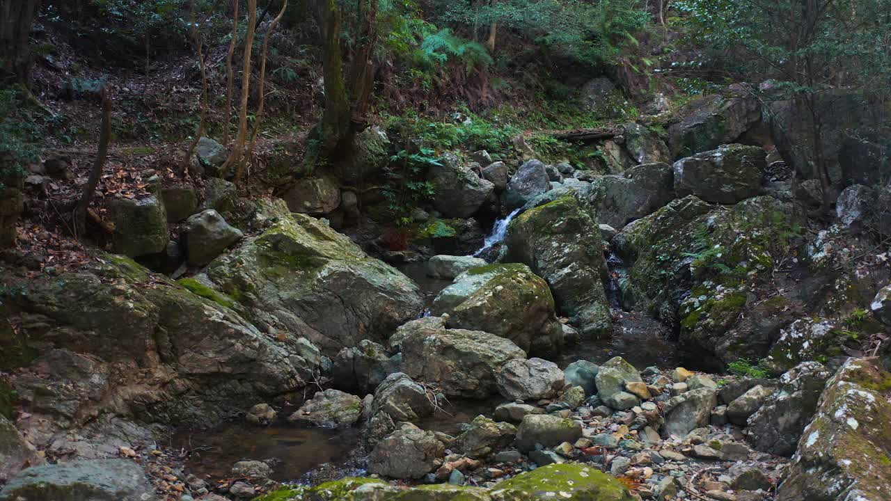 Smuk klippeformation i bjergene på en mosbegroet vandresti, Japan