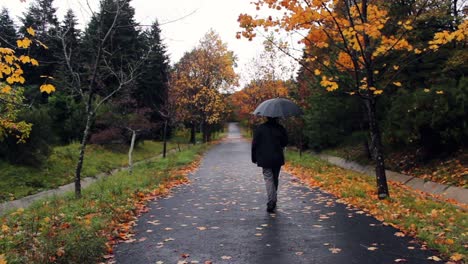 hombre caminando bajo la lluvia concepto de otoño