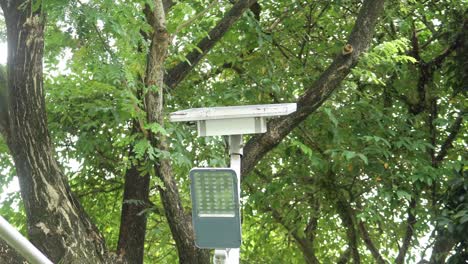 solar pannels setup against tree ,