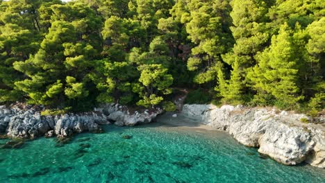 secluded beach with turquoise waters and lush green trees along rocky coastline