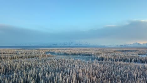 aerial, drone shot, over snow covered forest, at sunset, on a cold and sunny, winter evening, in gakona, alaska, usa