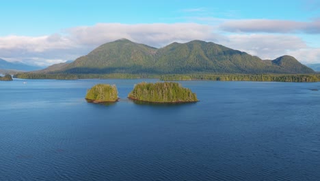 drone shot of tofino on vancouver island displaying autumn colors, rugged coastline, and ocean waves in a scenic aerial view.