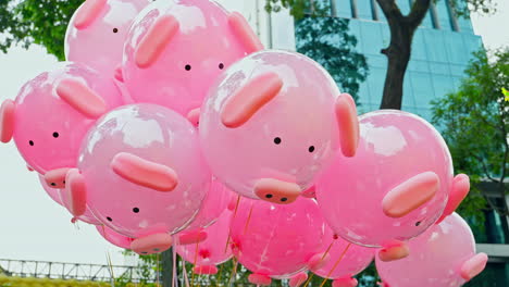 group of cute pink piggy balloons in the city central