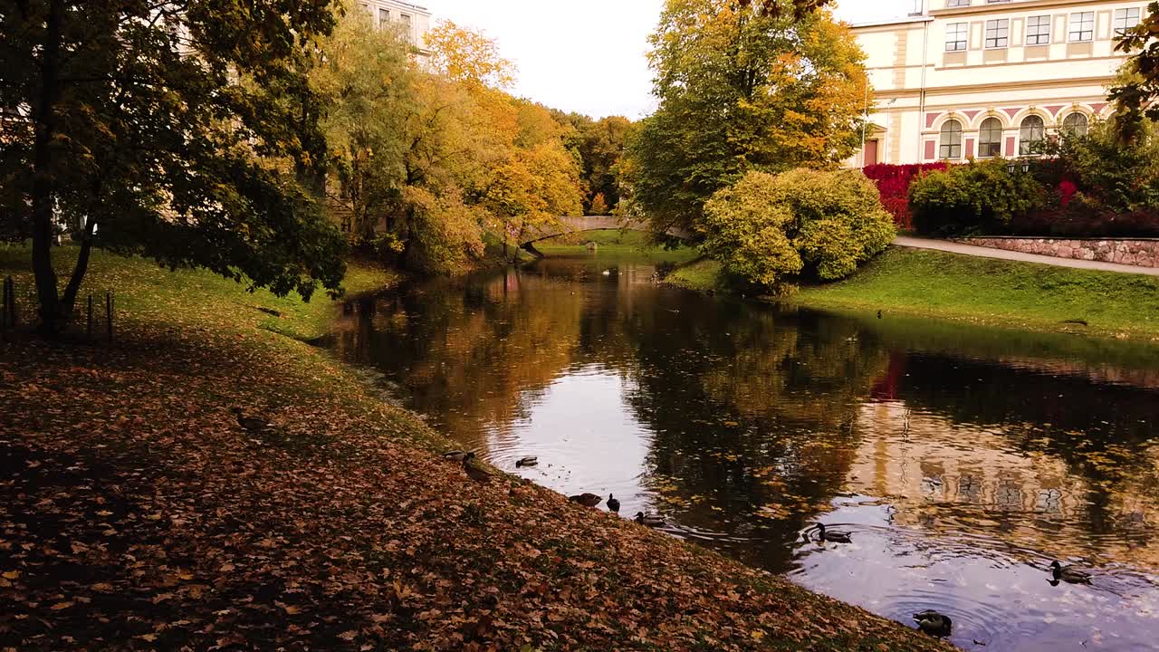 parque de otoño dorado con hermoso edificio blanco en la distancia