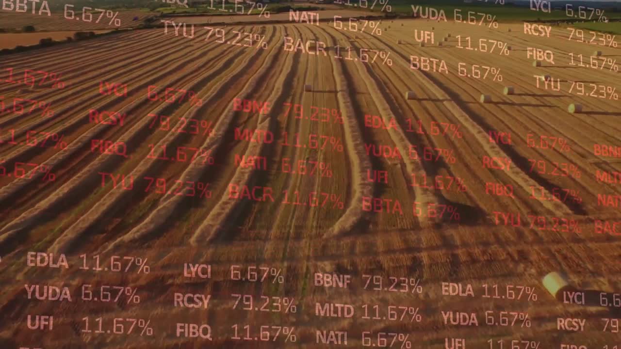 Animation der Finanzdatenverarbeitung über einem Agrarfeld