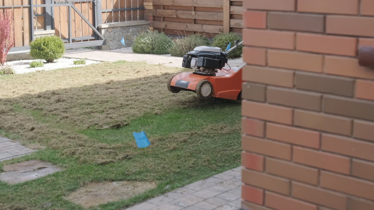Man Scarifying Lawn with Dethatcher Machine in Backyard