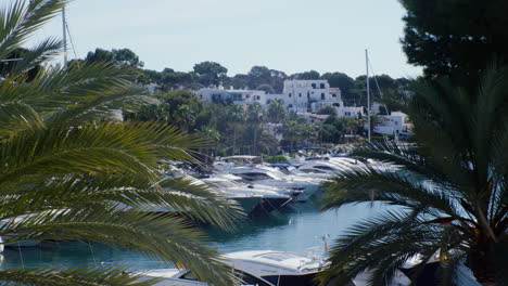 Cala-D'or-Marina,-filled-with-a-variety-of-yachts-framed-by-palm-trees