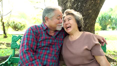 una vieja y encantadora pareja se besan en el parque en verano. la abuela y el abuelo tienen más de 20 años de aniversario de bodas que se quedan juntos toda su vida. el lindo tío y la tía son una pareja romántica.