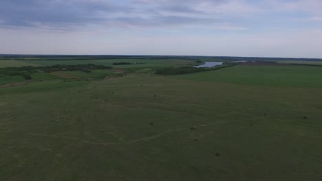 volando sobre el campo