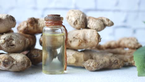 ginger oil and fresh ginger roots