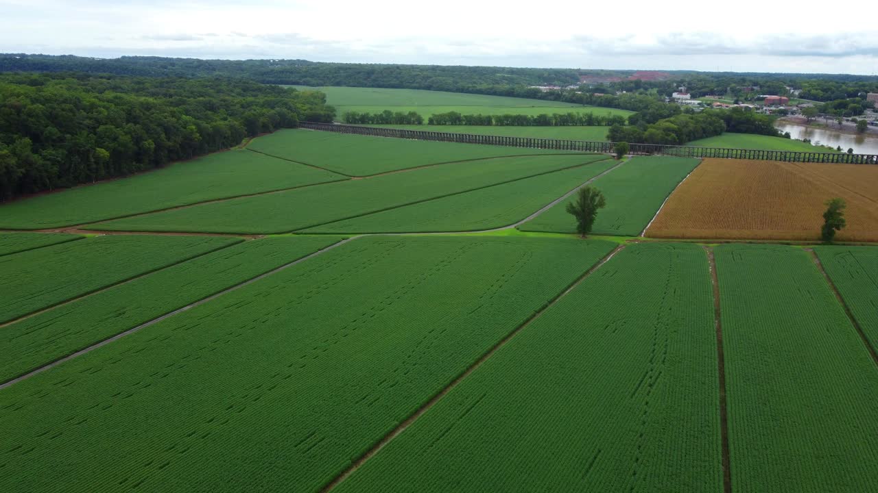 Aerial cinematic drone footage of green crops next to Cumberland river in Clarksville, Tennessee, USA