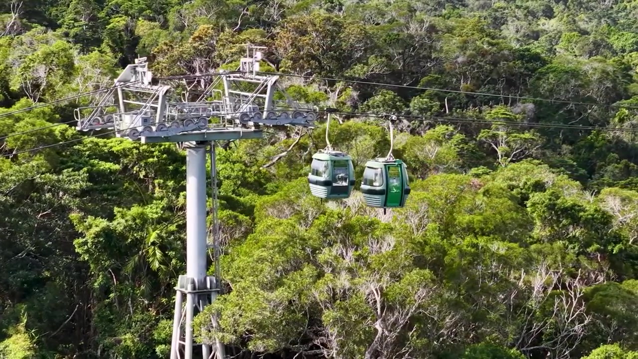 Gondole scivolano oltre un'alta torre di supporto metallica sopra una lussureggiante e verdeggiante volta di foresta tropicale.