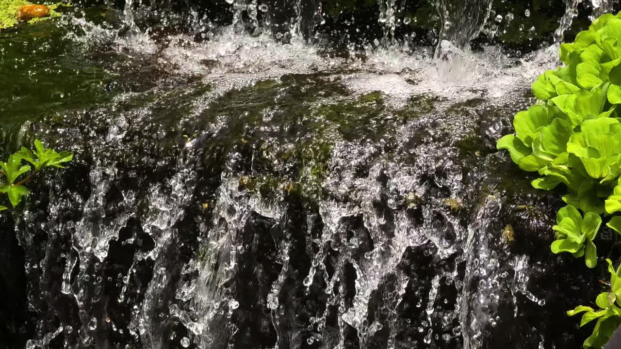 정원 에 있는 폭포