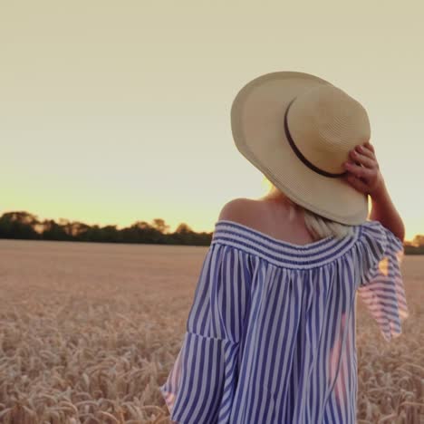 enjoy the fresh air walk around the wheat field at sunset