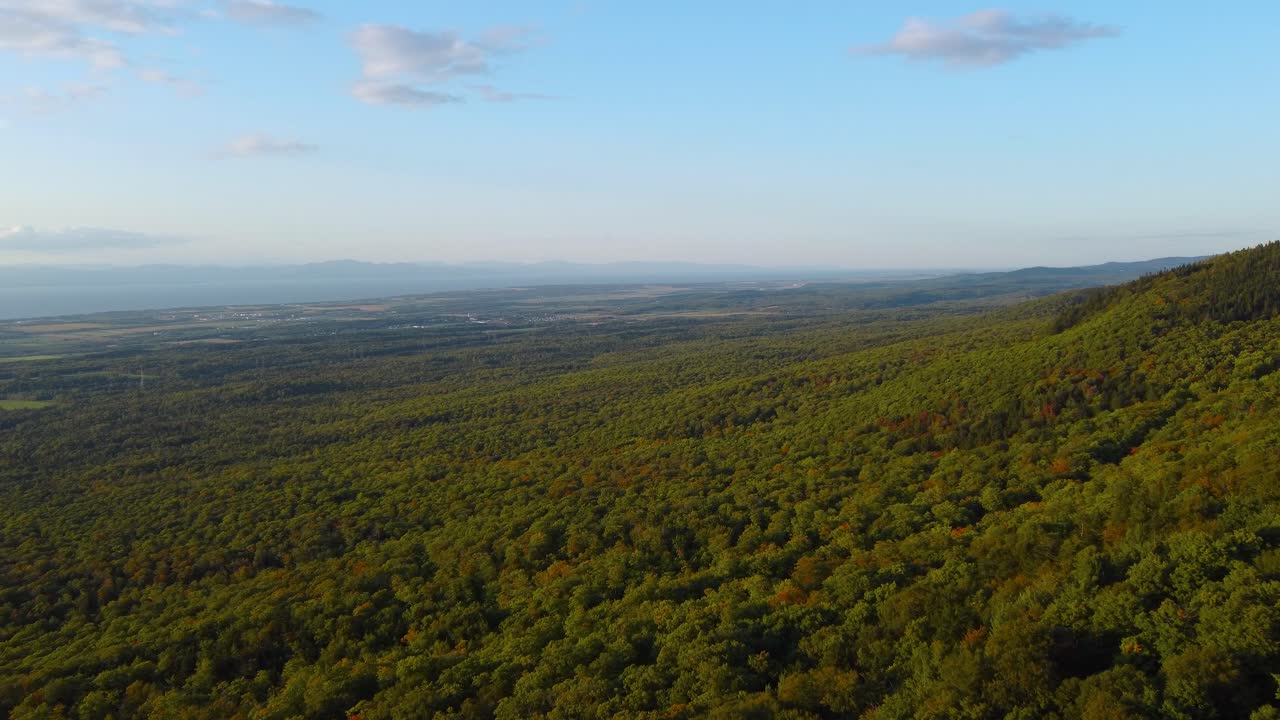 ladera de la montaña de quebec con un hermoso paisaje forestal cubierto de árboles - antena