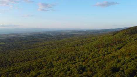 Ladera-De-La-Montaña-De-Quebec-Con-Un-Hermoso-Paisaje-Forestal-Cubierto-De-árboles---Antena