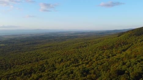 quebec mountain slope with beautiful tree-covered forest landscape - aerial