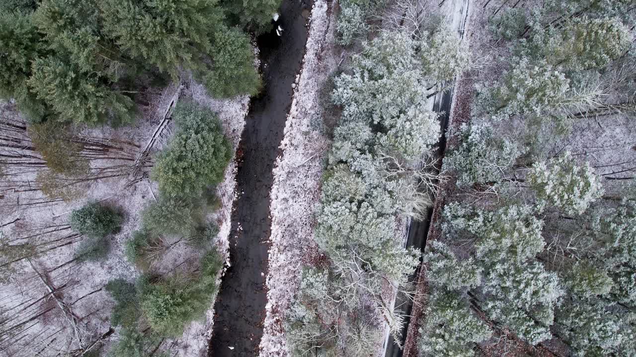 imágenes de video de drones aéreos de un bosque de pinos nevados, un arroyo y una tranquila carretera rural en las montañas apalaches durante el invierno
