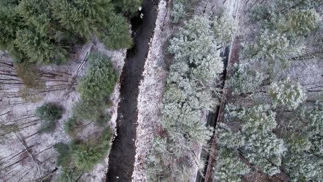 aerial drone video footage of a snowy pine forest, stream, and a quiet country road in the appalachian mountains during winter