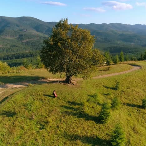 music in the beautiful mountains. musician playing the instrument on the green hill. panorama of a amazing view of the mountains. aerial view