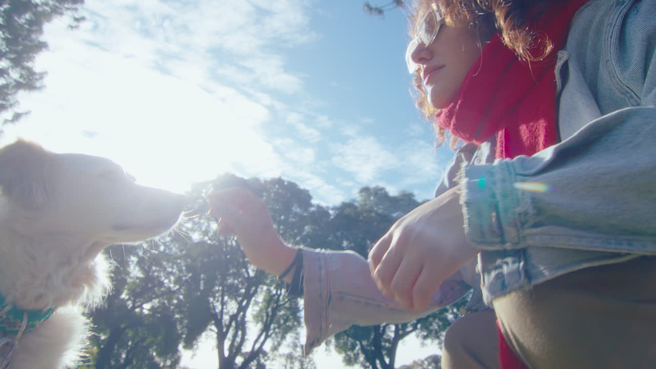 Woman Teaching Dog to Give a Paw in the Park
