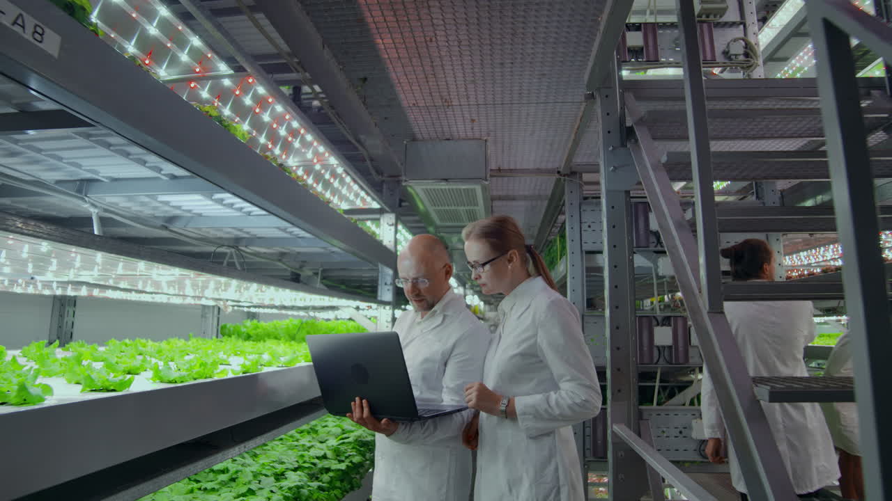 los agricultores modernos del futuro monitorean el crecimiento de las plantas y cultivan productos naturales puros y no modificados en granjas verticales con hidropónica.