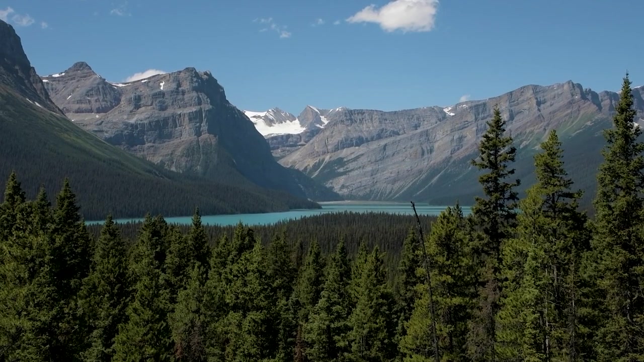 Lago Peyto turchese e paesaggio delle Montagne Rocciose canadesi.