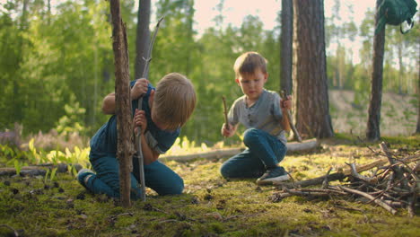 two little boy collecting firewood in the forest. two little brothers in the forest gather wood together and build a fire