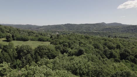 Aerial view, flying over a mountain forest in Romania