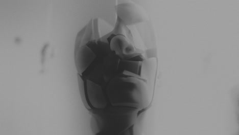 broken mannequin head shells in xray