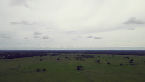 colombia eastern plains - llanos orientales 15