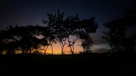 dusk sunset landscape, silhouetted trees against orange sky, pan left