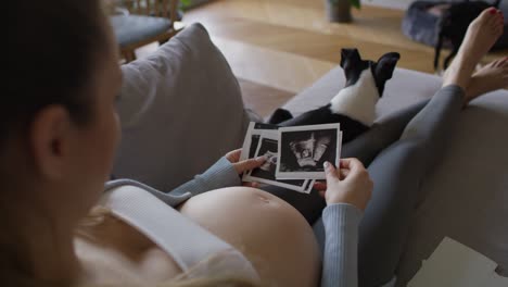 pregnant woman looking on medical scans.