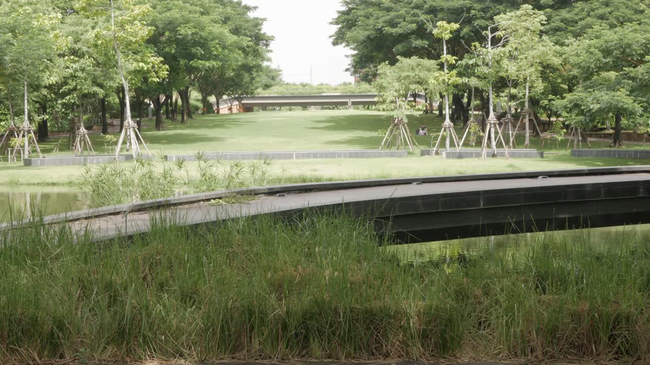 푸른 잔디밭에서 휴식을 취하는 사람들과 함께 여름 낮에 맑은 하늘 아래 식물원