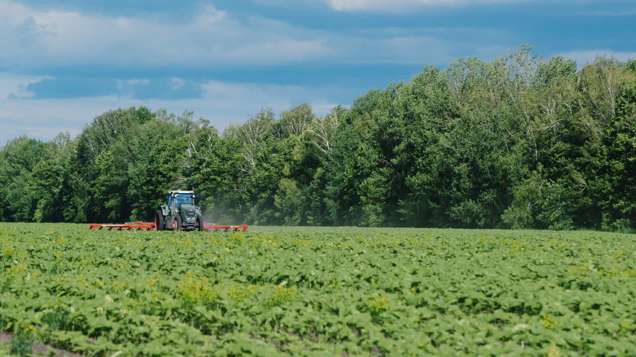 tractor tira del cultivador de campo que corta las malas hierbas