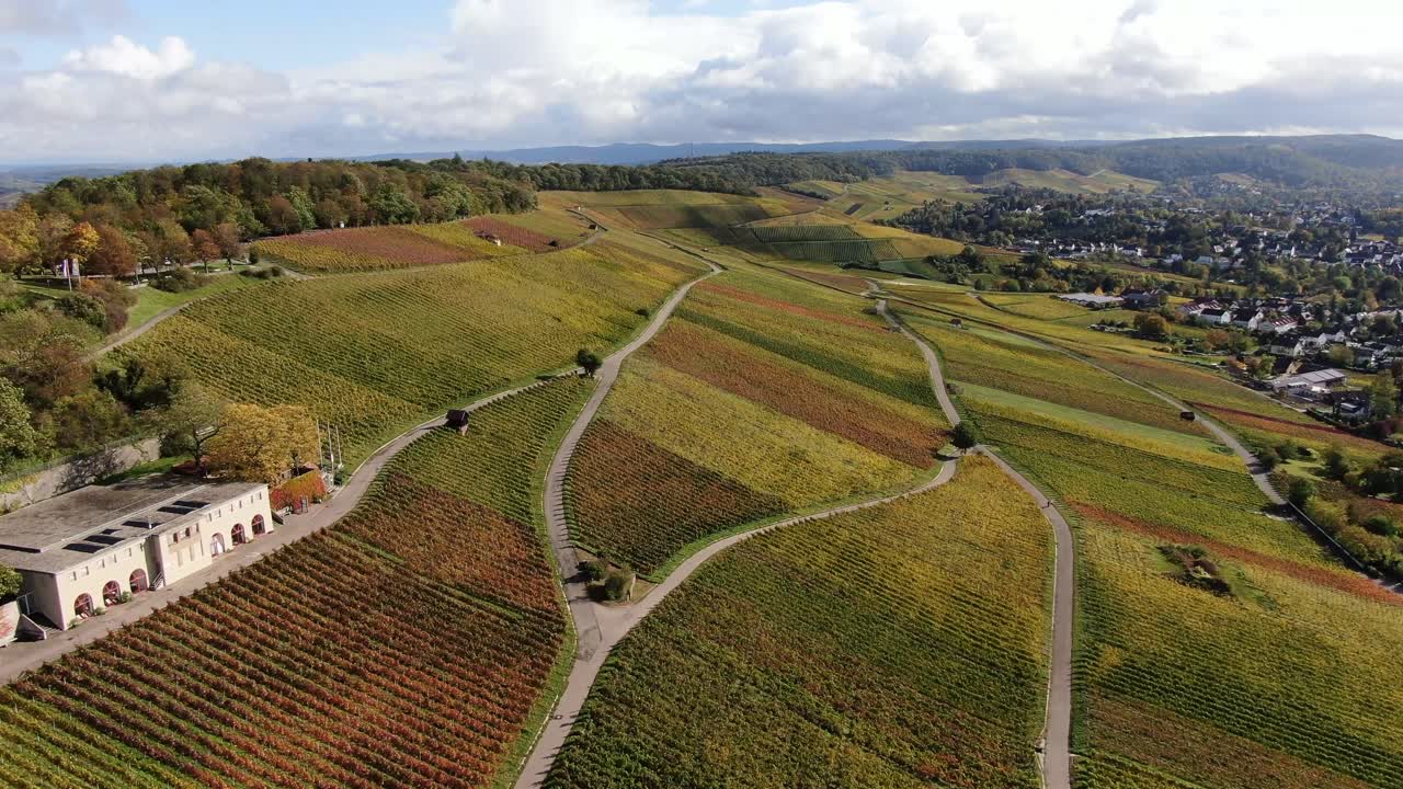 Vingård i Sydtyskland