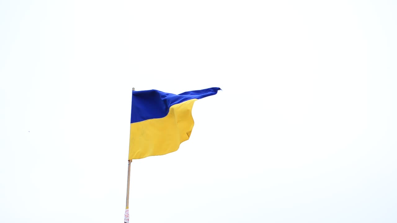 Bandiera giallo-blu. Bandiera ucraina.