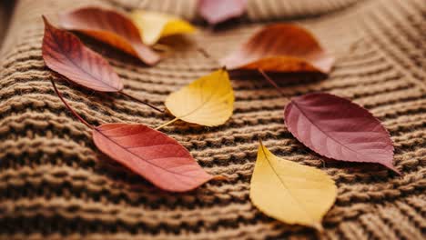 a beautiful arrangement of vibrant autumn leaves on a cozy knitted fabric, capturing the spirit of fall with rich hues and nature's textures in a tranquil setting