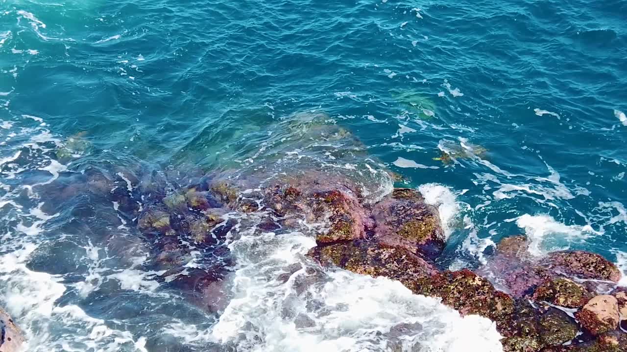 hd hawaii kauai cámara lenta leve panorámica de izquierda a derecha de las olas del océano arremolinándose y rompiendo en una costa rocosa con una tortuga marina emergiendo en el cuadro superior izquierdo al final del clip