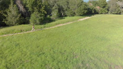 aerial of young woman running on a forest trail at sunset