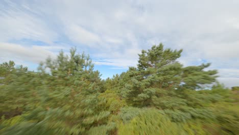 gefährlicher flug über eine kleine waldinsel, der die majestätische brücke von bomla enthüllt, fpv-drohnenansicht