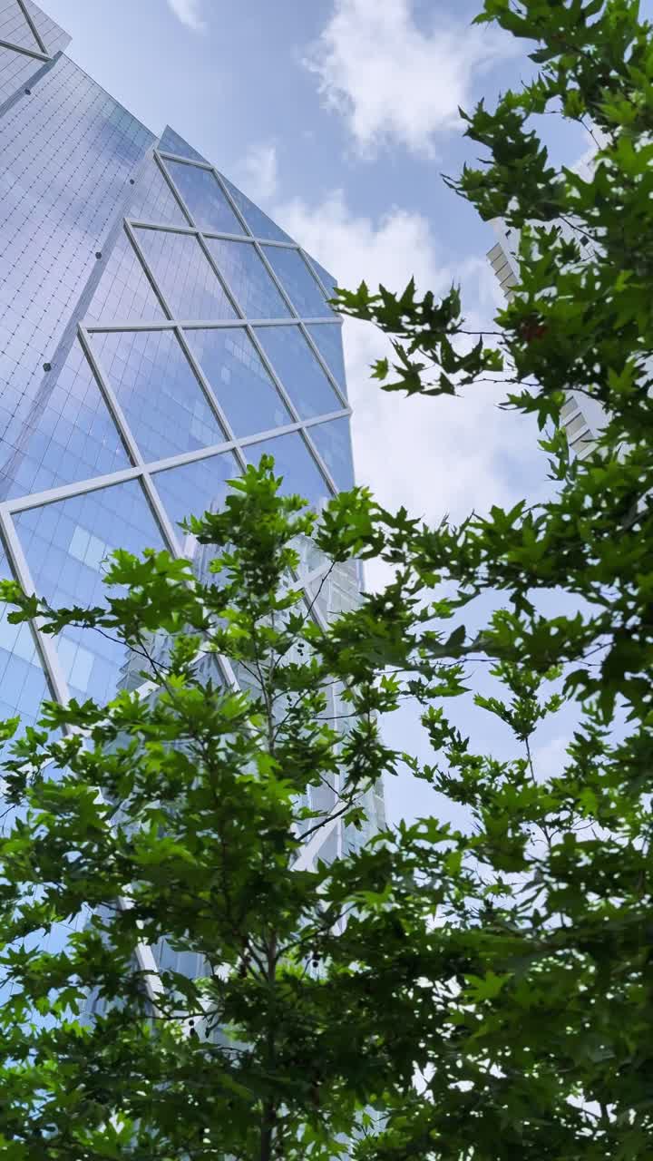 A tree is in front of a building with a glass facade