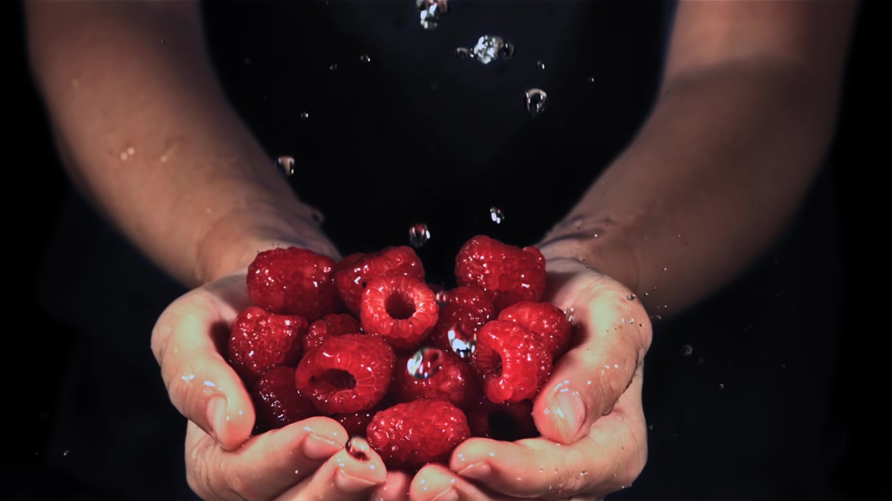 Slow Motion Water Drops Falling on Fresh Raspberries in Hands