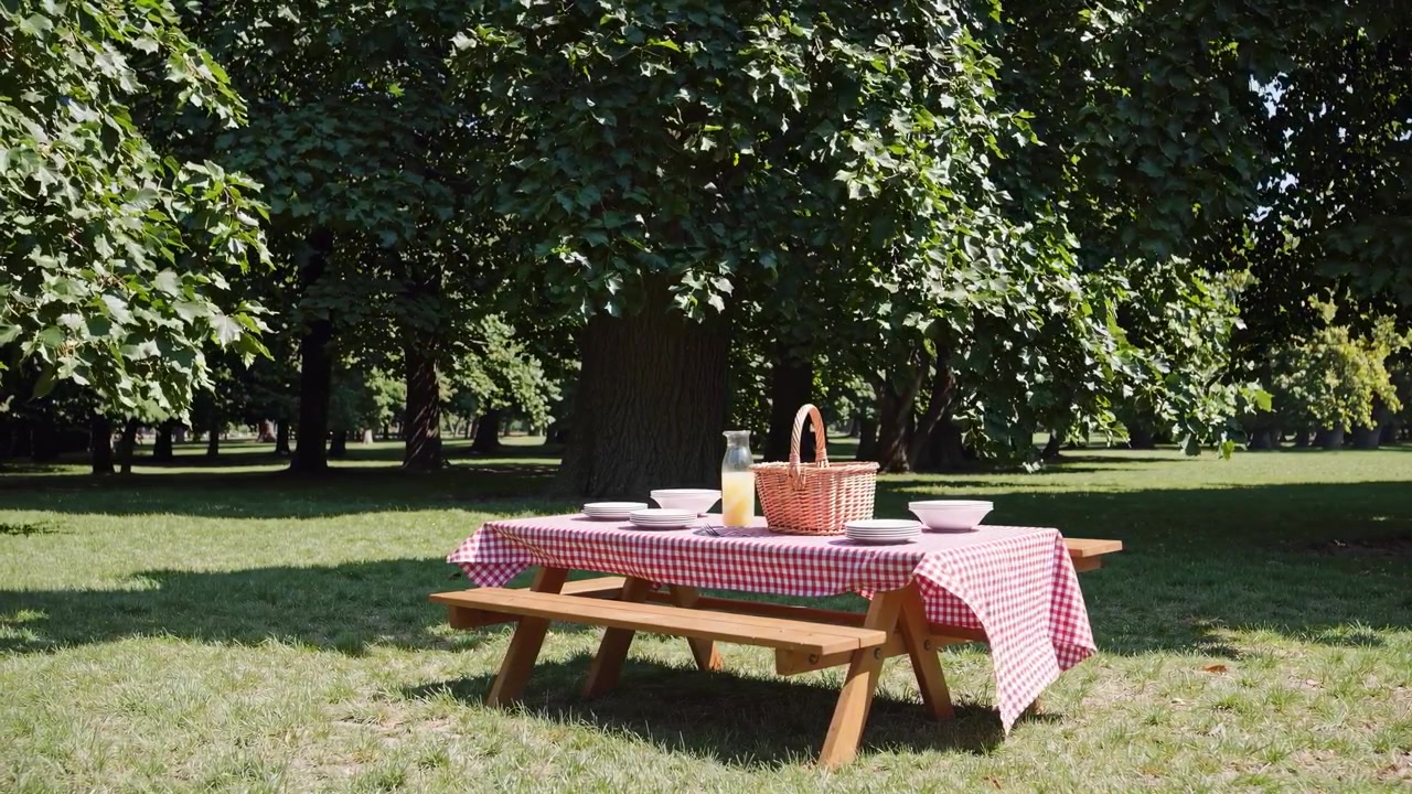 Tavolo da picnic allestito in un parco soleggiato con alberi verdi