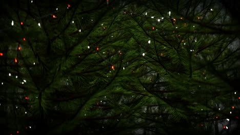 christmas lights on a pine tree