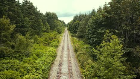 A-drone-view-flying-above-abandoned-railway-tracks-looking-forward-between-the-forest-trees