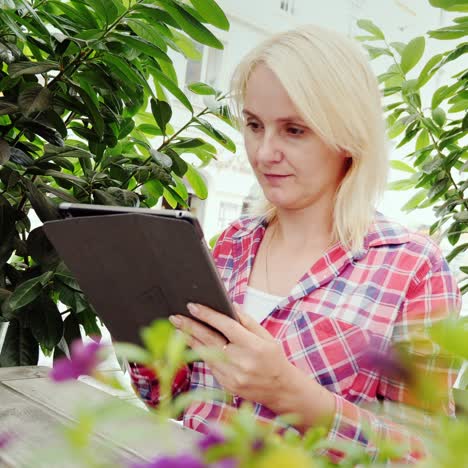 una mujer en un café acogedor usa una tableta