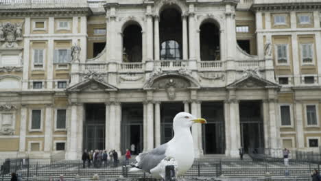 gaviota en fuente frente al histórico edificio romano, cámara lenta